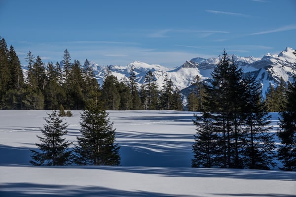 In der Bildmitte Sustenhorn und Gwächtenhorn