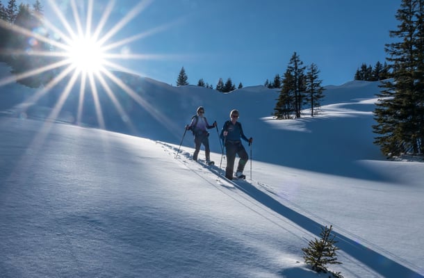 Wir geniessen die unberührte verpulverte Landschaft