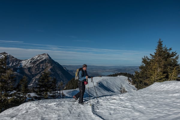 Tiefblick zum Thunersee, links der Niesen und das Fromberghore
