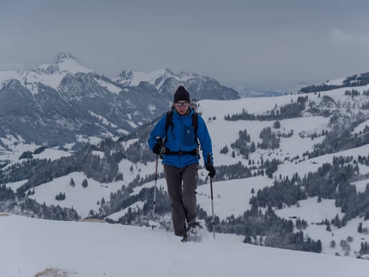 Der erste Aufstieg führte uns vom Jaunpass auf den Hundsrügg. Links das Stockkorn, darunter das geschwungene Simmental
