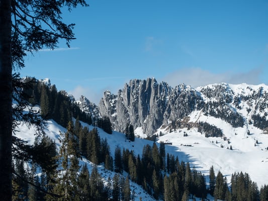 So unfreundlich sind sie nicht, die Gastlosen