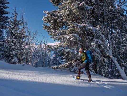 Die Schneedecke ist gerade ausreichend für eine Schneeschuhtour