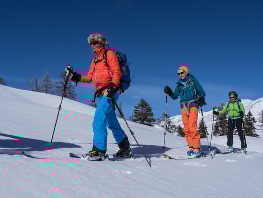 Noch haben wir kein bestimmtes Ziel vor Augen, einzig den stelen Wald wollen wir nicht mehr hinunter