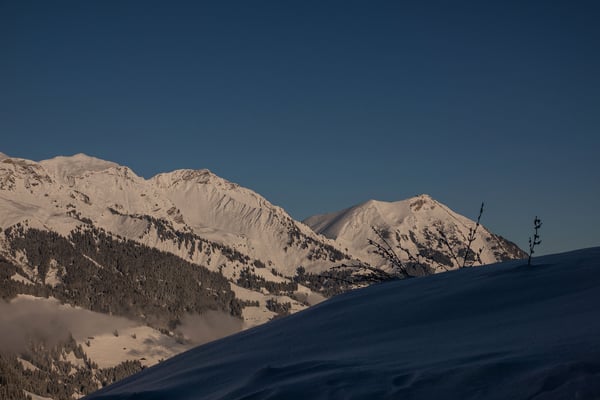 Niesen, und Drunegalm werden im Winter des öfteren mit Skis bestiegen, während das Fromberghore in der Mitte äusserst selten Besuch von Skitourengehern erhält