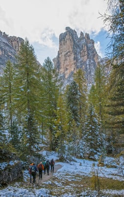 Langsam färben sich die Lärchen und zaubern ihren grüngelben Charme in die heimischen Wälder