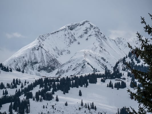 Auf  der Suche nach geeignetem Wandergelände werden wir bei Saanenmöser fündig. In den Osthängen des Planihubel  verläuft unsere Tour mit Blick auf den mächtigen Giferspitz 