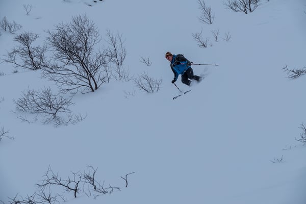 Wenigsten geben die Büsche etwas Kontrast für flüssige Kurven