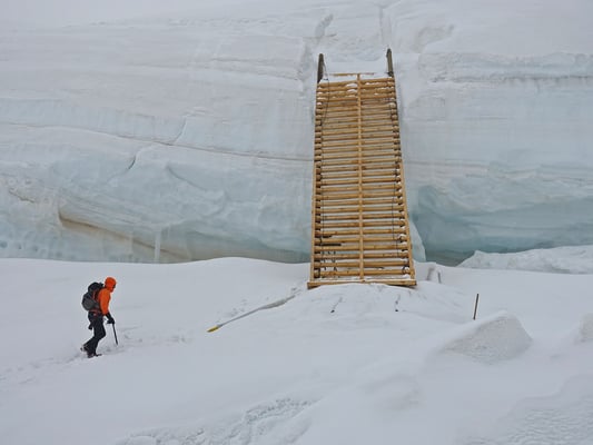 Alleingänger im Nebel und zu später Tageszeit, eine Superkombination