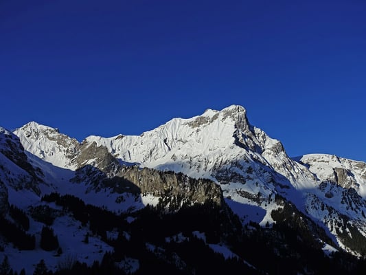 Das Ärmighorn in prächtigem Weiss