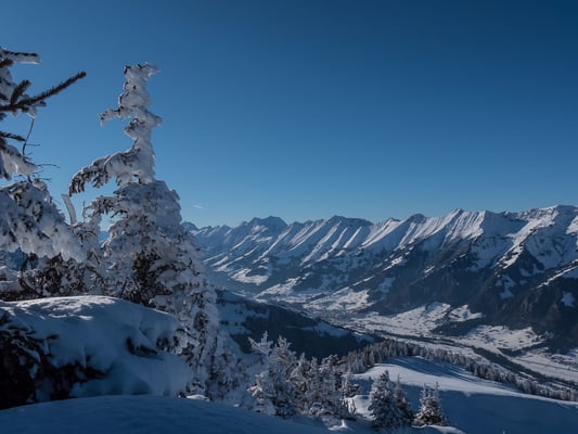 Gegenüber reihen sich die Gipfel der Niesenkette in den wolkenlosen Himmel