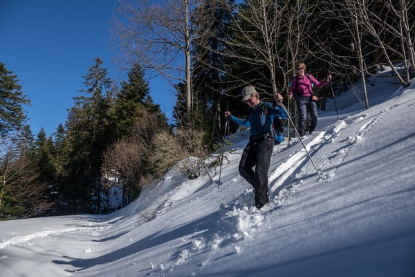 Ein letzter Downhill von Beat, dann ist die begehbare Alpstrasse  in der Wildschutzzohne erreicht