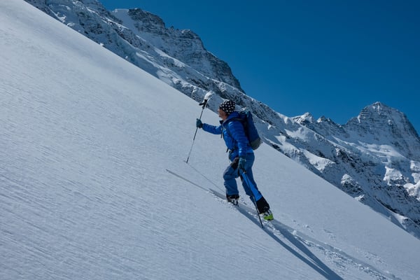 Traumgelände für einen erfahrenen Fuchs