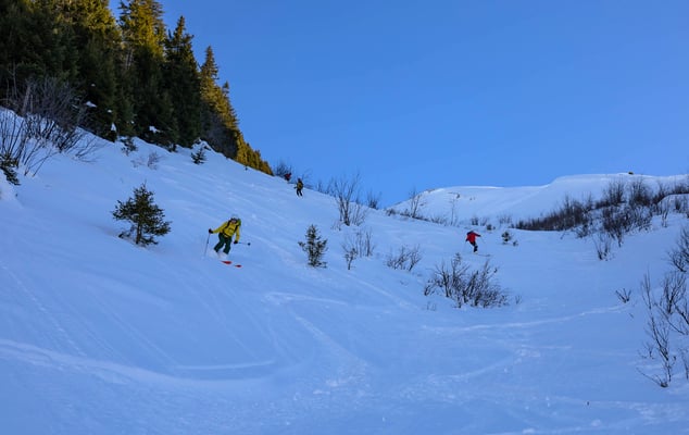 Nordliches Flair mit Büschen