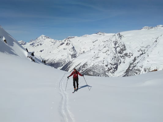 Die bekannte Seite vom Lötschental mit Balmhorn, Hockenhorn, Sackhorn, Elwertätsch, Birghorn,  Petersgrat und Blüemlisalp
