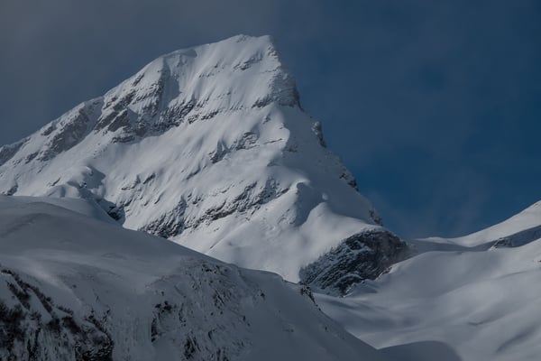 Dass die Aufhellungen nicht mehr weit sind, beweist dieses Bild vom Schwarzhorn