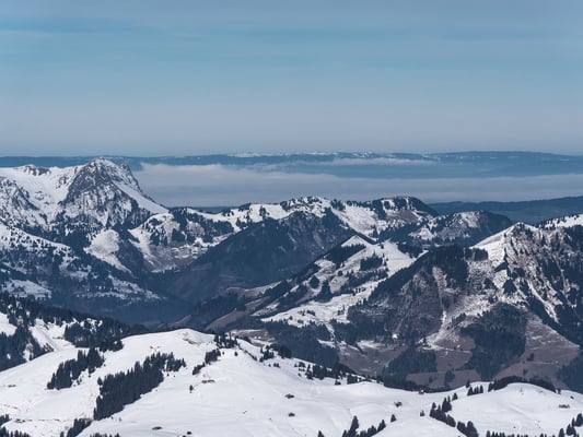 Unten grün und oben weiss, das wilde Greyerzerland