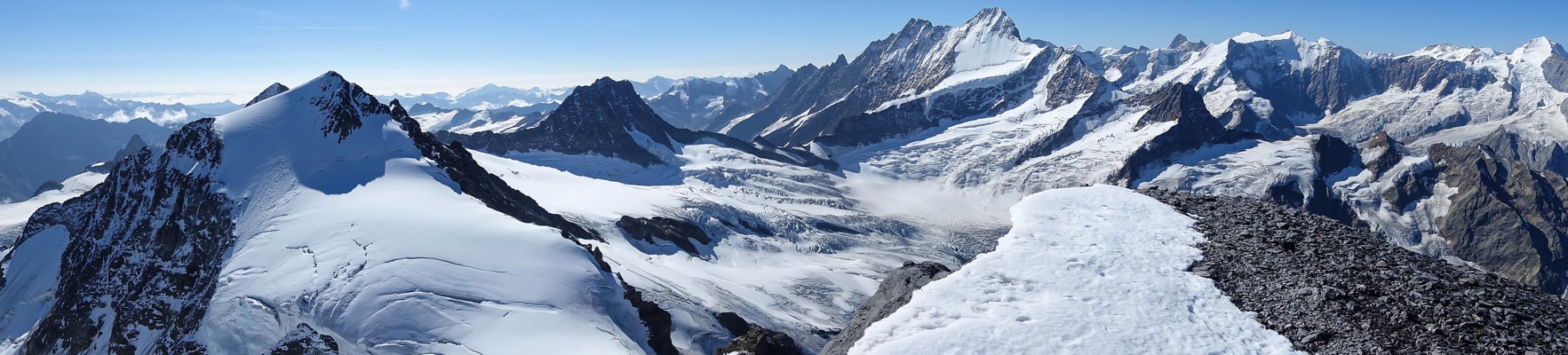 Panorama vom Mittelhorn, Bärglistock, Lauteraar- und Schreckhorn, Ochs, Fiescherhörner zum Trugberg und Mönch