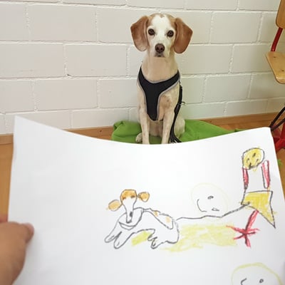 Tiergestützte Therapie Ergotherapie Praxis für Kinder-Jugend Stein am Rhein