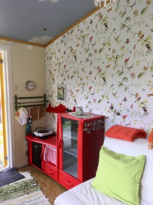 vannkoker og kokeplate