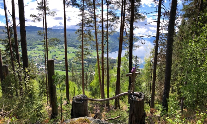 an dieser Bank könnt ihr meist einen Troll bei seinen Kunststücken bewundern