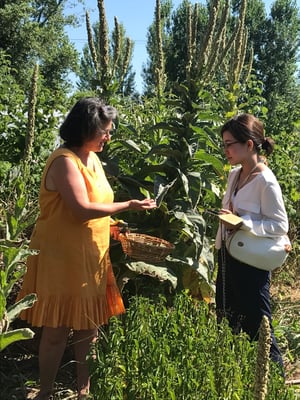 フランスハーブワークショップ