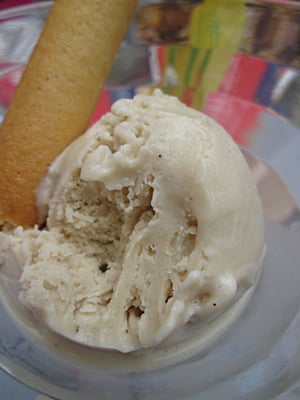 フランス　自家製アイスクリーム