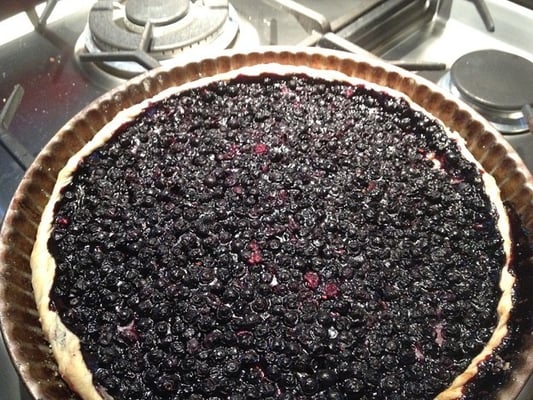 ピレネー山脈　高山植物