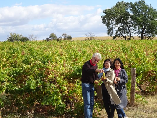 コルドシュルシエル  観光ツアー