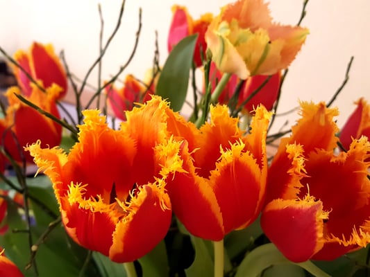 Bild: Paarmassage in der InTouch Massageschule Hamburg