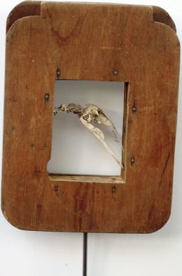 "Vogel" - Objekt/Holz/Vogelschädel - 28 x 39 - 2011