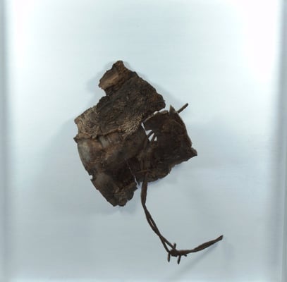 "Reliquar IV" - Holz/Rinde/Stacheldraht - 15 x 15 - 2011