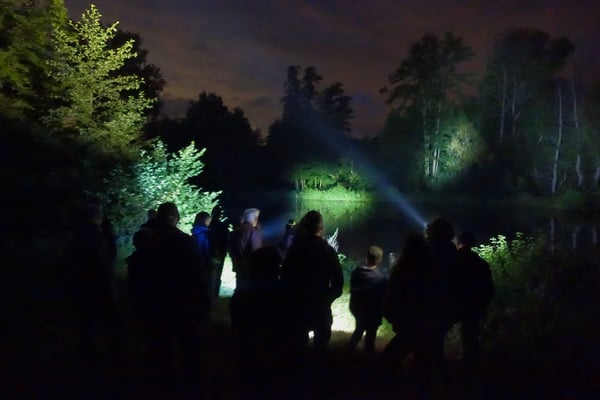 Nicht immer gelang es, die Fledermäuse längere Zeit im Lichtkegel zu behalten, zu schnell und wendig sind die Tiere.