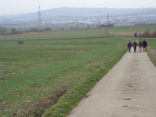 Die Feldflur zwischen Münzenberg und Rockenberg ist wetterautypisch sehr ausgeräumt.