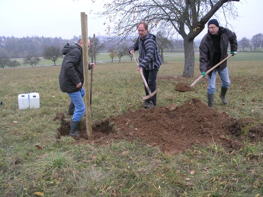 Zuerst zwei Pfähle einrammen, dann Loch mit Erde befüllen. Das machen gerade v.l.n.r. Matthias Möbs, Markus Kraiker und Robert Scheibel 