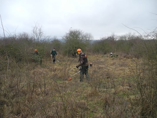 Die Verbuschung war stellenweise recht weit fortgeschritten, nur mit Sense und Hacke lässt sich der Bewuchs nicht mehr entfernen.