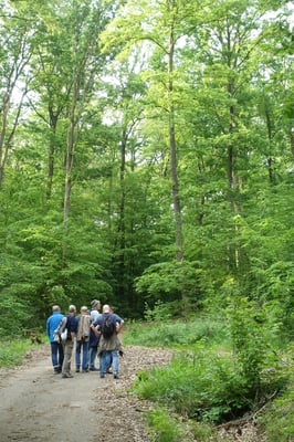 Auf der Suche nach der Heckenbraunelle. Entlang der Usa sind die Teilnehmer ihr nicht begegnet - vielleicht aber hier im Mischwald.