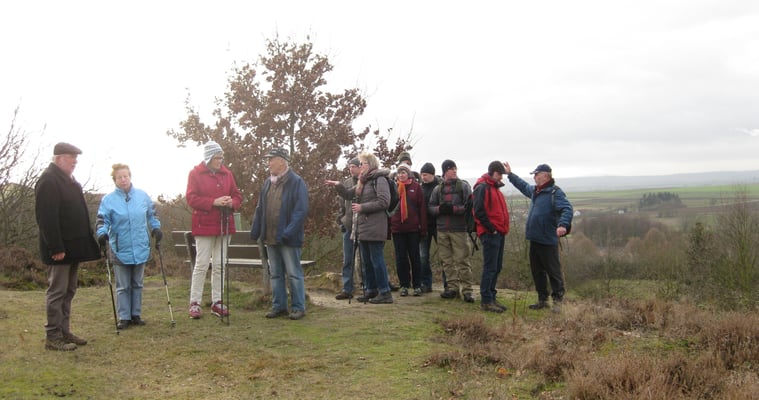 Der hochgelegene Teil der Hölle von Rockenberg ist ein Magerrasenareal bewachsen mit Besenheide. Von dort können die Ausflügler über die nördliche Wetterau blicken.