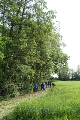 Die letzte Wanderetappe führt bachabwärts wieder an der Usa entlang.