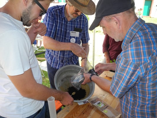 Die Samenkugeln werden angerichtet.