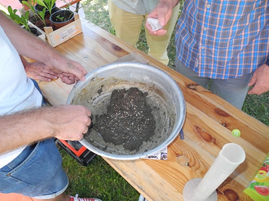 Jetzt mit Samenmischung.