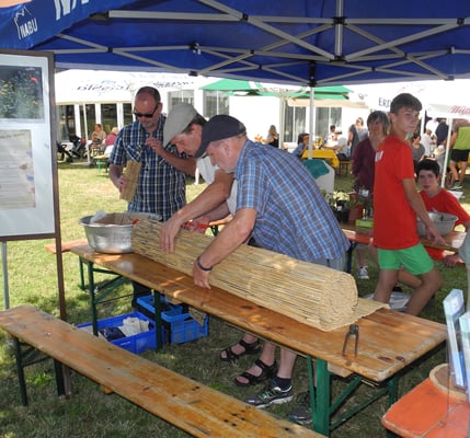Markus Kraiker und Matthias Möbs schneiden aus der Schilfrohrmatte einen Streifen, der aufgerollt zum Bienenhotel wird. 
