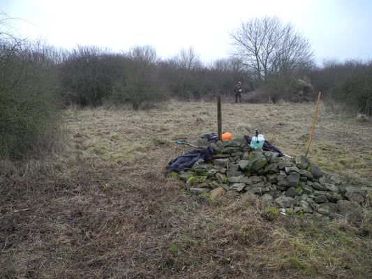 Der Lesesteinhaufen ist vor Jahren mit unserer Naturschutzjugend (NAJU) zusammengetragen worden; dort leben Eidechsen.