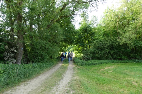 Von der Schlingbrücke über die Usa kann gut auf das Bachbett geschaut werden. Mit viel Glück gelingt die Beobachtung der Wasseramsel und des Eisvogels. 