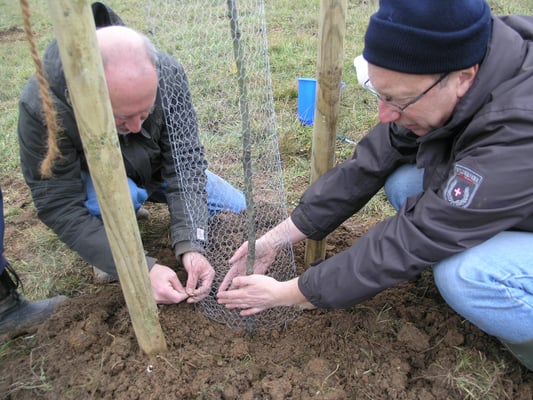 Am Boden muss die Drahthose besonders sorgfältig geschlossen werden, weil insbesondere Nager sich dort Zugang verschaffen wollen. 