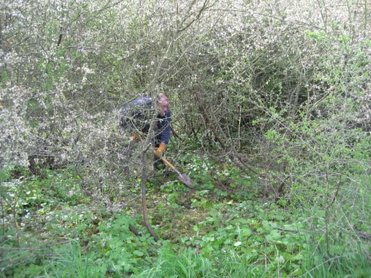 Es ist gelegentlich eine Plagerei, an die Pflanzen zu kommen.