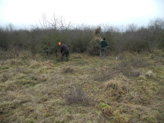 Motorsäge und Freischneider sind unerlässlich, wenn ein Arbeitsergebnis erzielt werden soll.