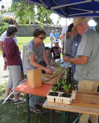 Hans-Josef Rauch unterstützt die Interessentin beim Rollen des Schilfrohrstreifens.