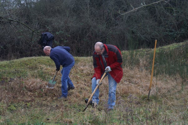 Es gilt, im Heidekraut vorsichtig seine Schritte zu setzen, sonst ist der Schaden größer als der Nutzen. 