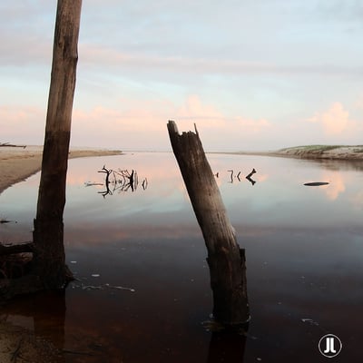 Tea Tree Lake Suffolk Park L-111