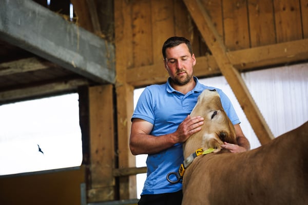 Oliver Vogt bei seinen Kälbern